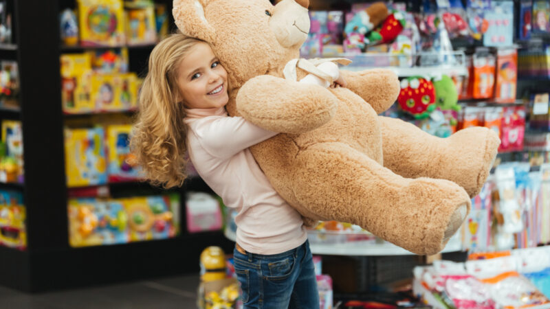 magasins de jouets Toulouse